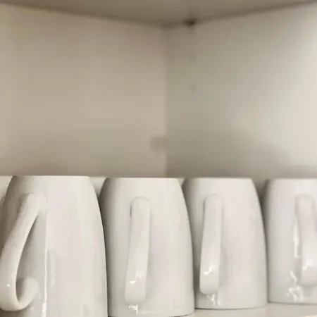 The Architect's House