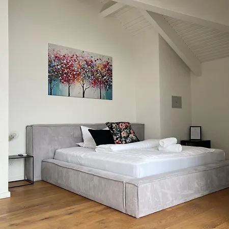 公寓 The Architect's House